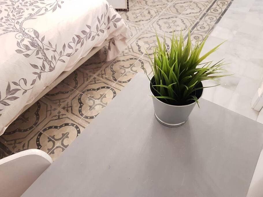 Coqueto Loft By Gades Gestion Leilighet Cádiz Eksteriør bilde